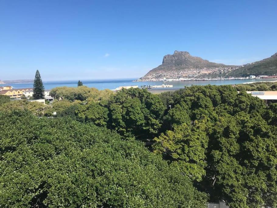 Апартаменти Chapman'S Peak, Loft Mit Sea-Und Mountainview Гаут-Бей Екстер'єр фото