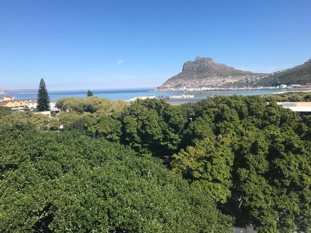 Апартаменти Chapman'S Peak, Loft Mit Sea-Und Mountainview Гаут-Бей Екстер'єр фото